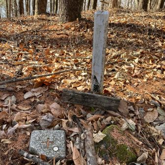 ダッシュで大和山の山頂に到着！！
こちらも眺望はなく、小さな山頂標識と三角点があるのみ。

登り返しキツイですが、なるべく早く戻ります！！(＞＜)