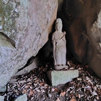 右側にも一体、おられました🙏