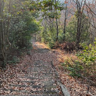 帰りは気を付けて下ります