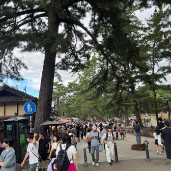 どこもかしこも大混雑🫠