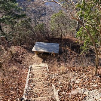 ベンチ！
と思いきや、この上に乗って富士山を眺める台っぽい？