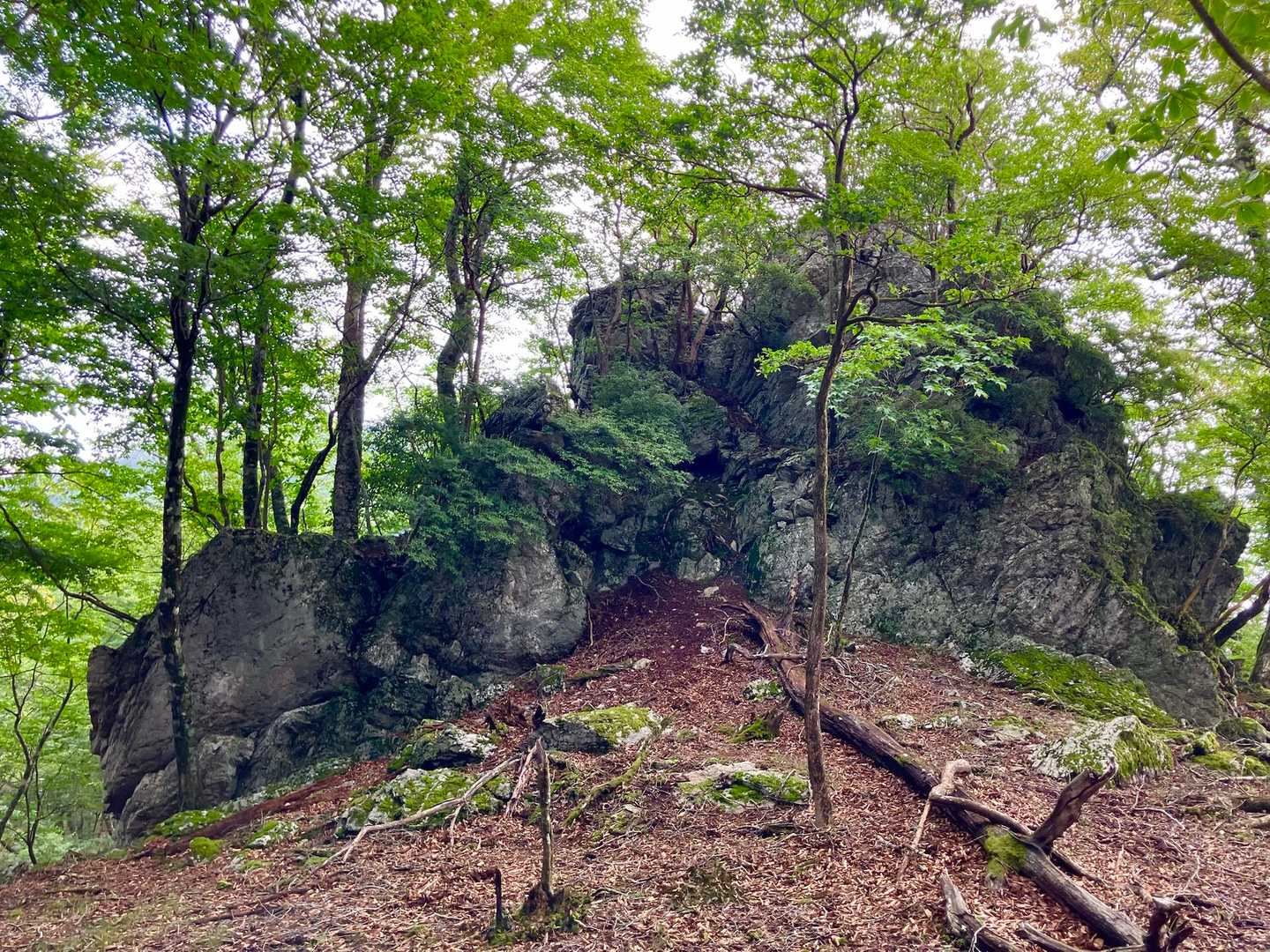 圧巻の〈かめ割岩〉。
この地の古い地殻変動を伝えます。