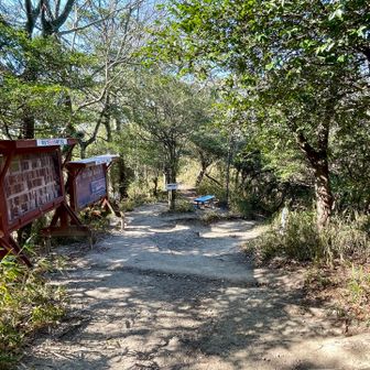 登頂回数板がある９合目から堂山へ