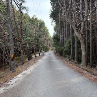 こんなコンクリート道が続きます