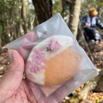 マッチ009さんから桜のお菓子をいただきました
なんと大分の横尾のマメポアさんは妹さんだって
うちの妹んちの近くやん
ありがたくいただきます