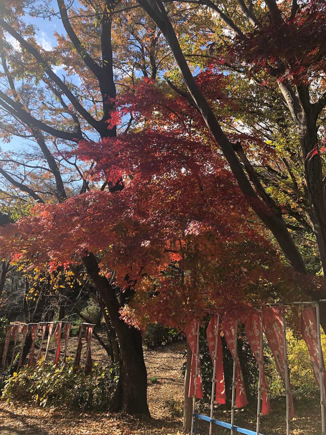 震生湖には、至る所に赤！