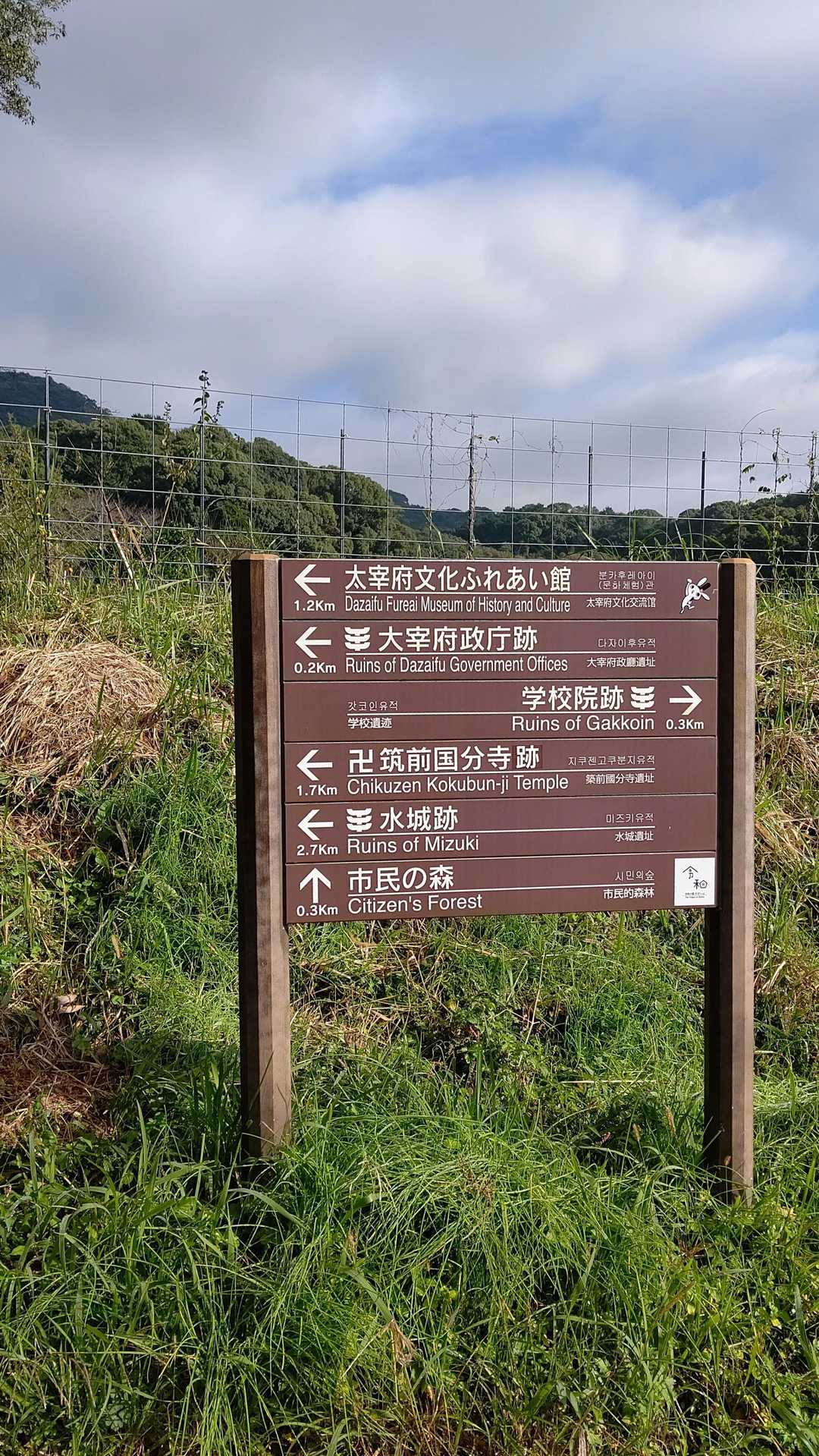 岩屋山-焼米ヶ原登山口 往復コースの写真