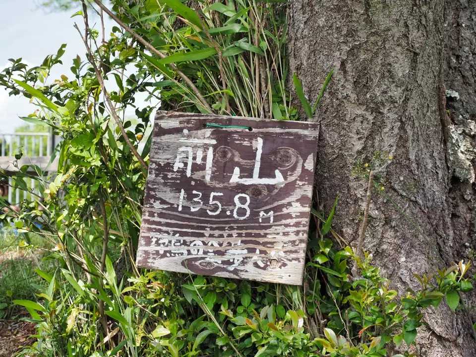 前山の写真