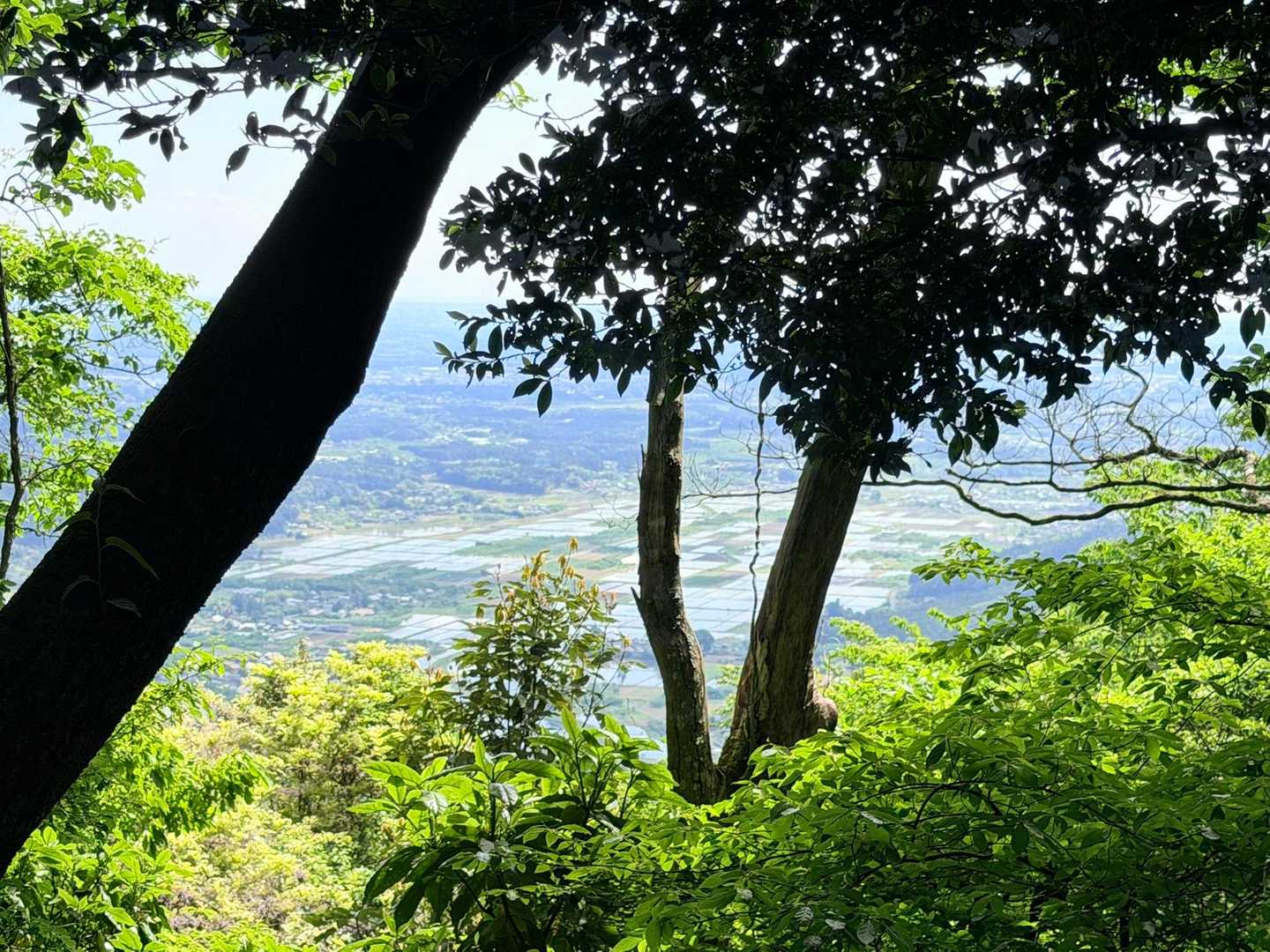 南山-団子石峠-大福山-難台山 往復コースの写真