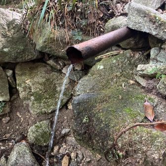 三合目の水場
水量が少ない