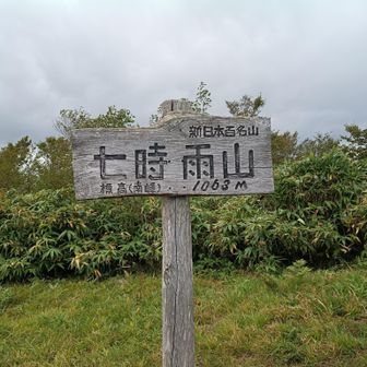 七時雨山(南峰)山頂