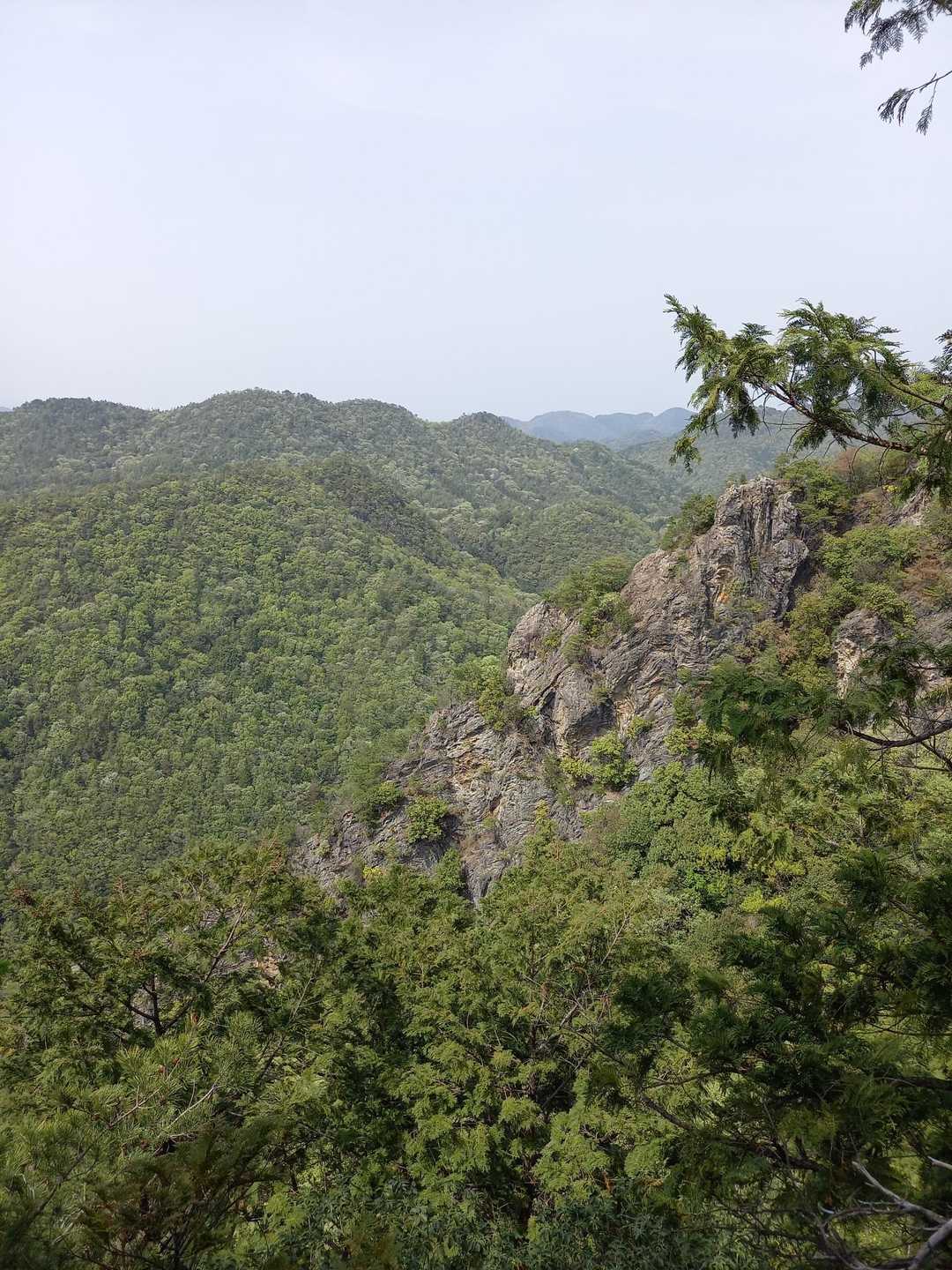 みのかも健康の森登山口-高木山登山口-高木山-富士山 周回コースの写真