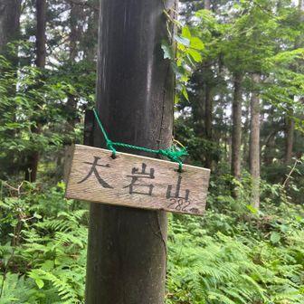 大岩山ピーク