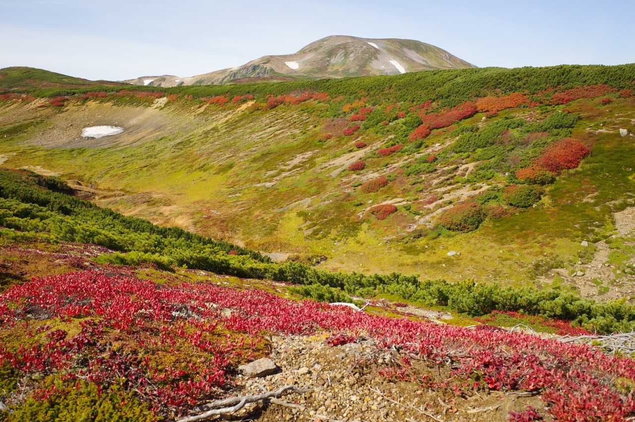 七合目登山事務所-黒岳-北海岳 往復コースの写真