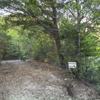 酒垂下山道との分岐