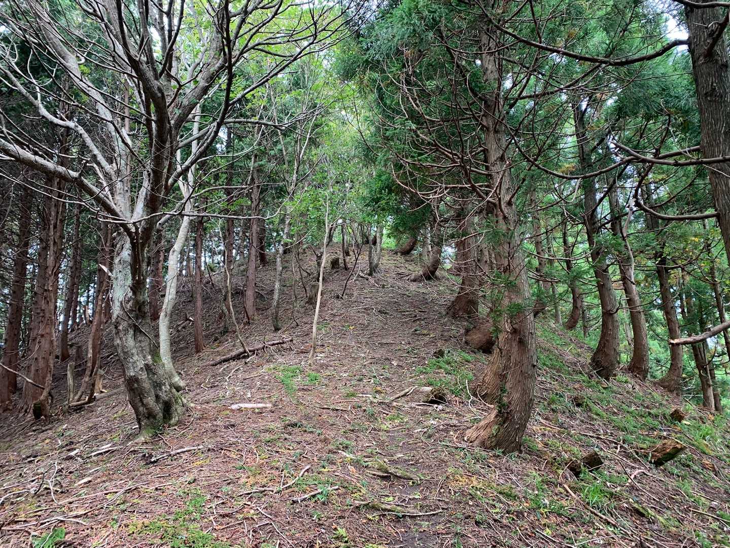 たまには登り返します(^_^;)
アップダウンの高低差は小さいです。
