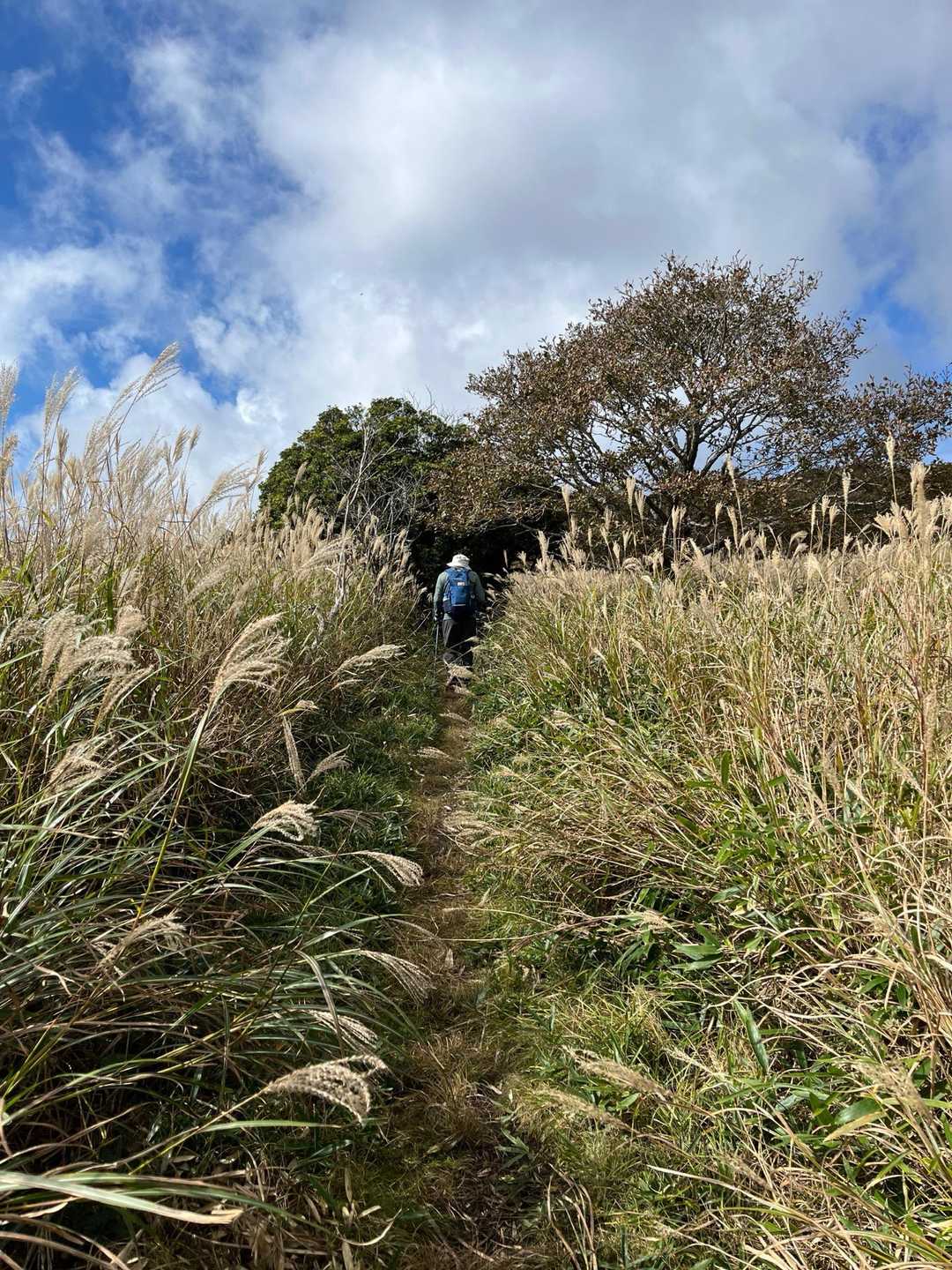 赤川登山口-扇ヶ鼻 往復コースの写真