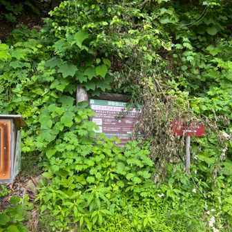 屋敷登山口に降りてきました。