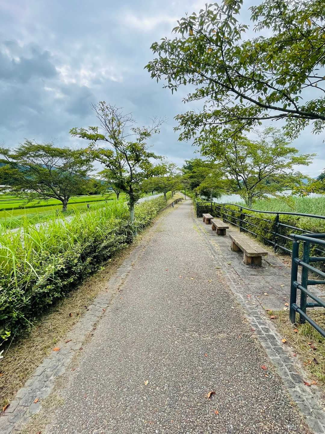 登山口は駐車場から離れてるのでここを少し歩いて行きます。