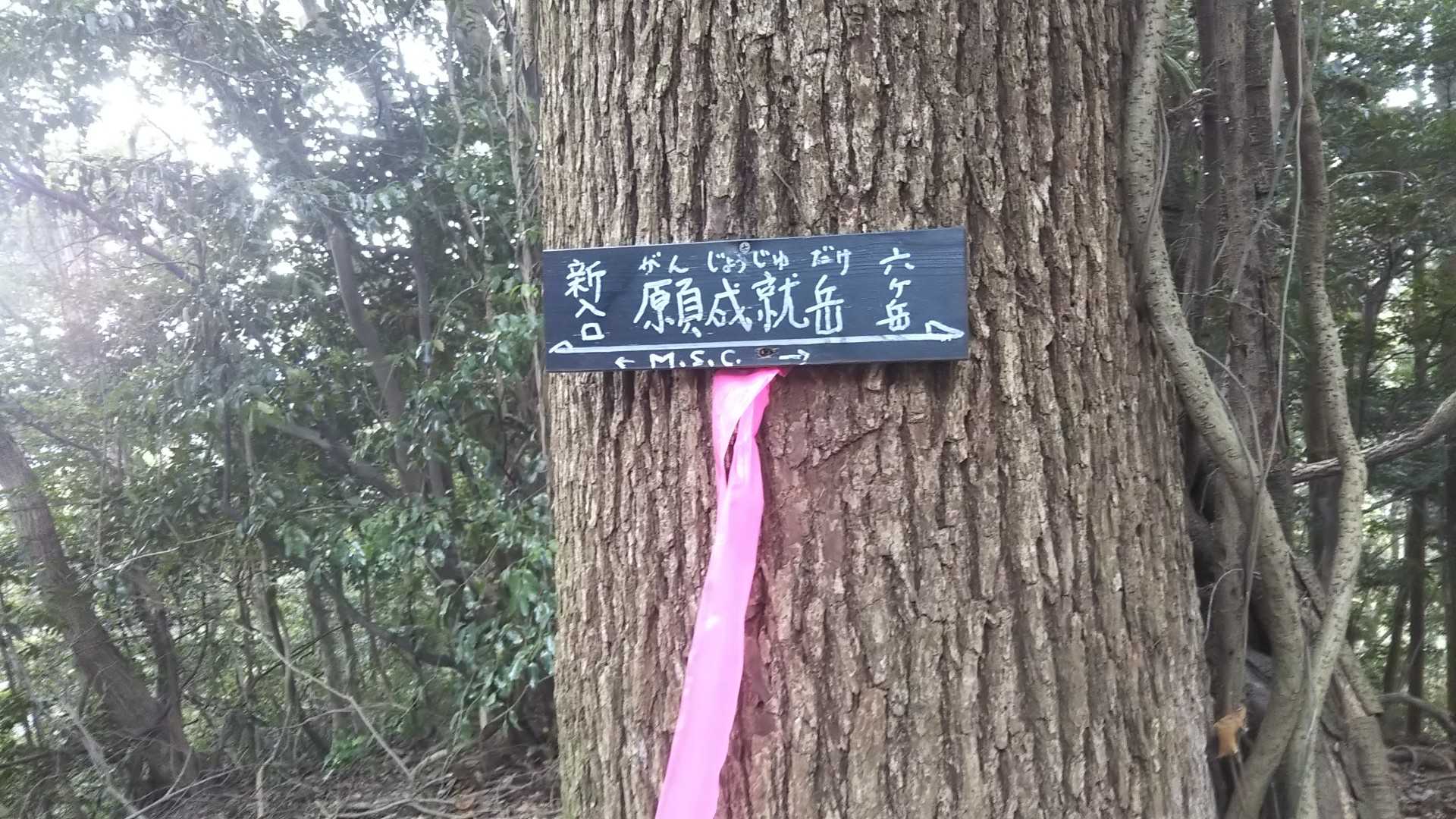 願成就岳
