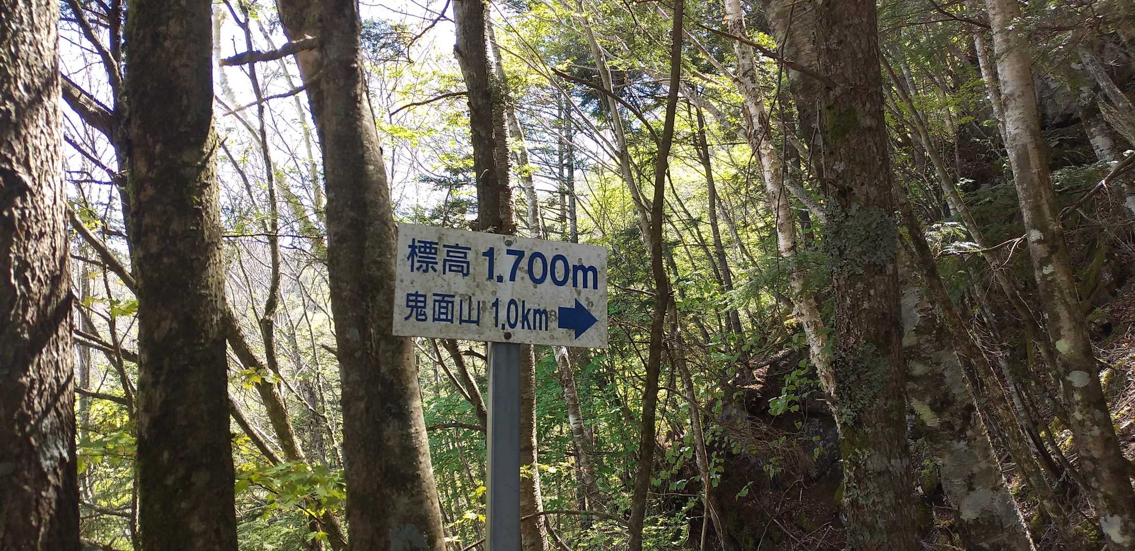 あと1キロ。
🤔標高差200m⁉️