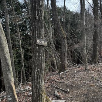 大塚山は巻いて、丹三郎尾根をガシガシ下りる