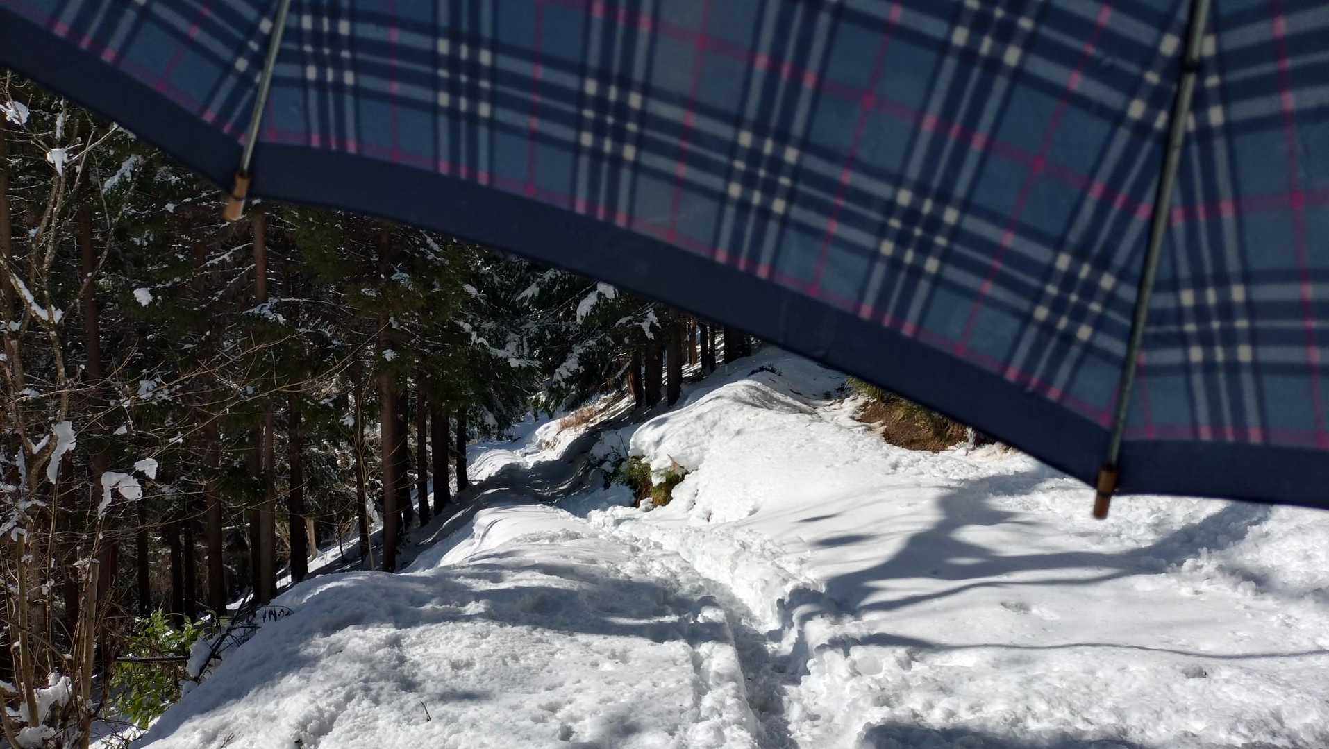 帰りは雪爆弾💨💥
やっぱ傘は必須