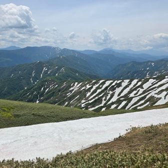 平ヶ岳まで続く稜線を眺める。
登山道はありません。
ここを歩く猛者がいるのか🤔