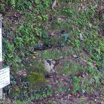 登山口。爆竹を数発鳴らして入山。