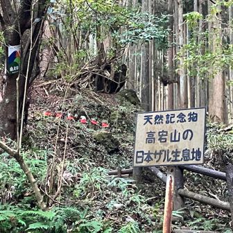 はいゴール♪
お地蔵さんただいま、また会いに来ますね