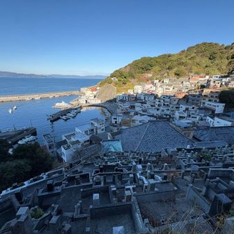 海徳寺からの眺め👀　乗ってきた高速船も見えてます