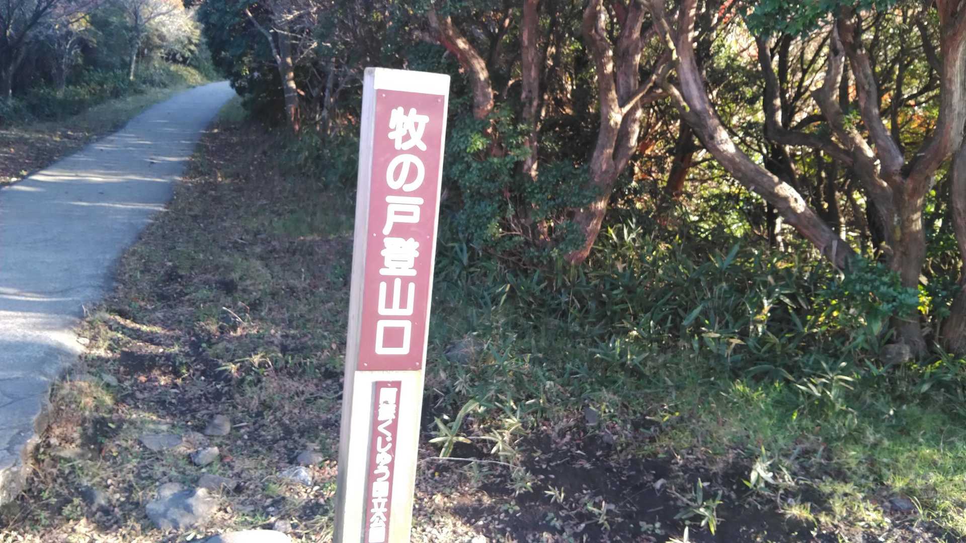 ではスタート