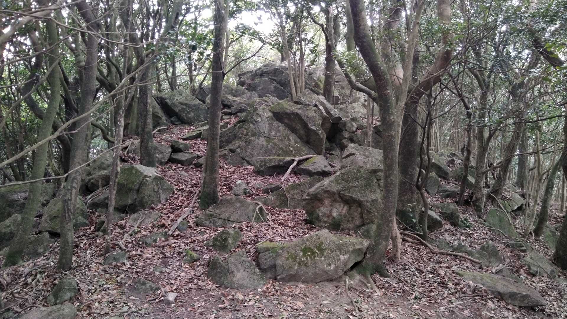天狗山山頂😵💨
ここまでも急登です
山頂付近はちょっと独特な雰囲気があります😌