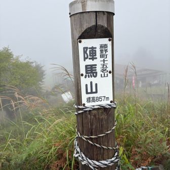 今回