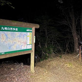 上野越えコースの分岐点まで来た。
さて登るか下山するか‥