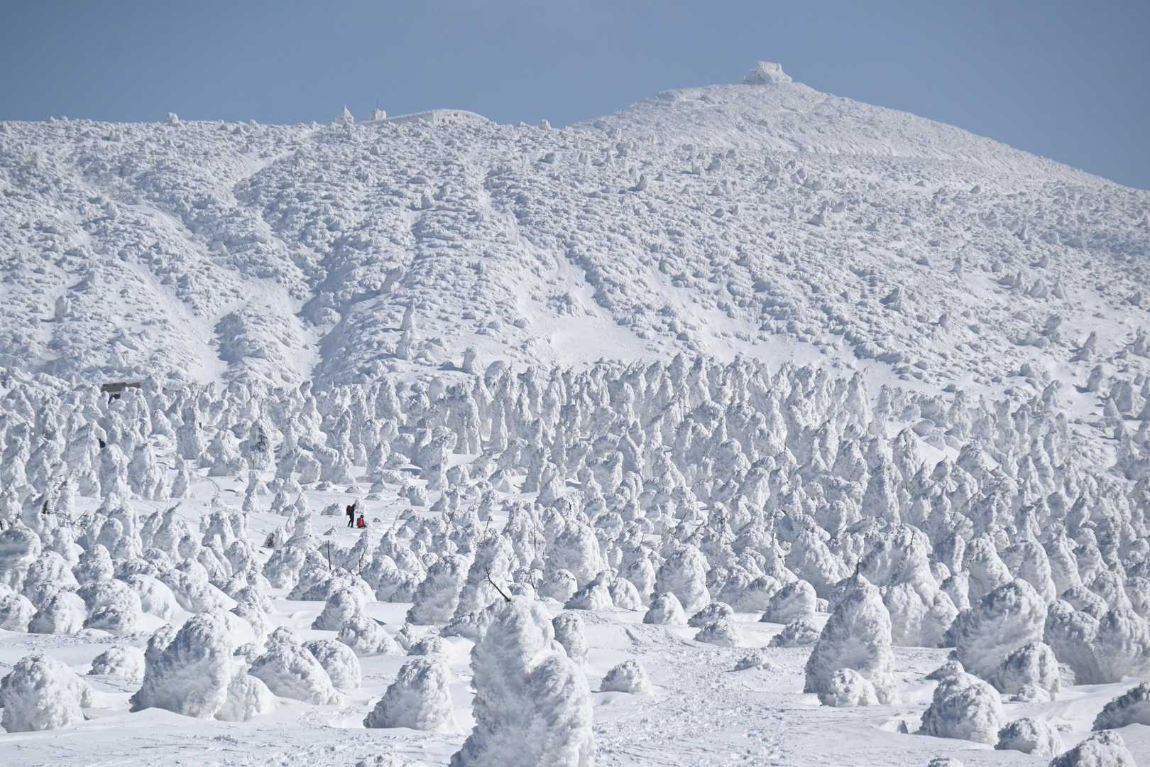 苅田岳とアイスガーデン(蔵王ライザ↑↓) / おこあの登山データ