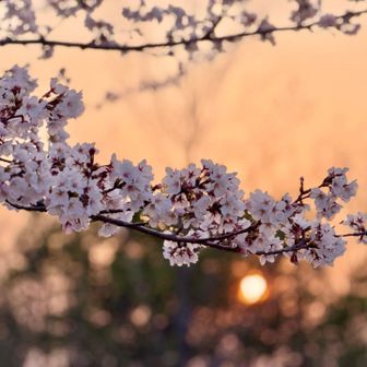 太陽に滅せられるのでササっと下山します👹