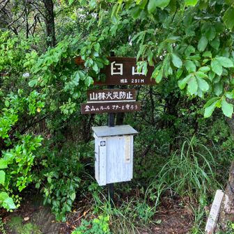 温度計みたところ26度くらい