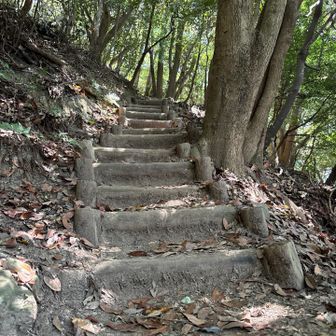 始めから山頂までほぼ急登の階段上り🛗
いいトレーニング🏋️