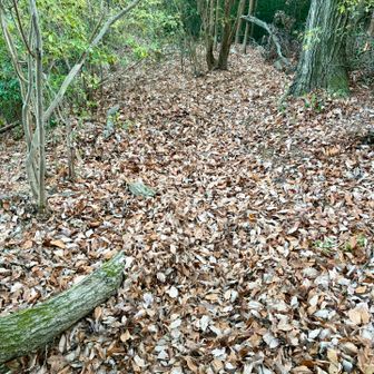 ズルズル滑ります⚠️
注意して下ります😱