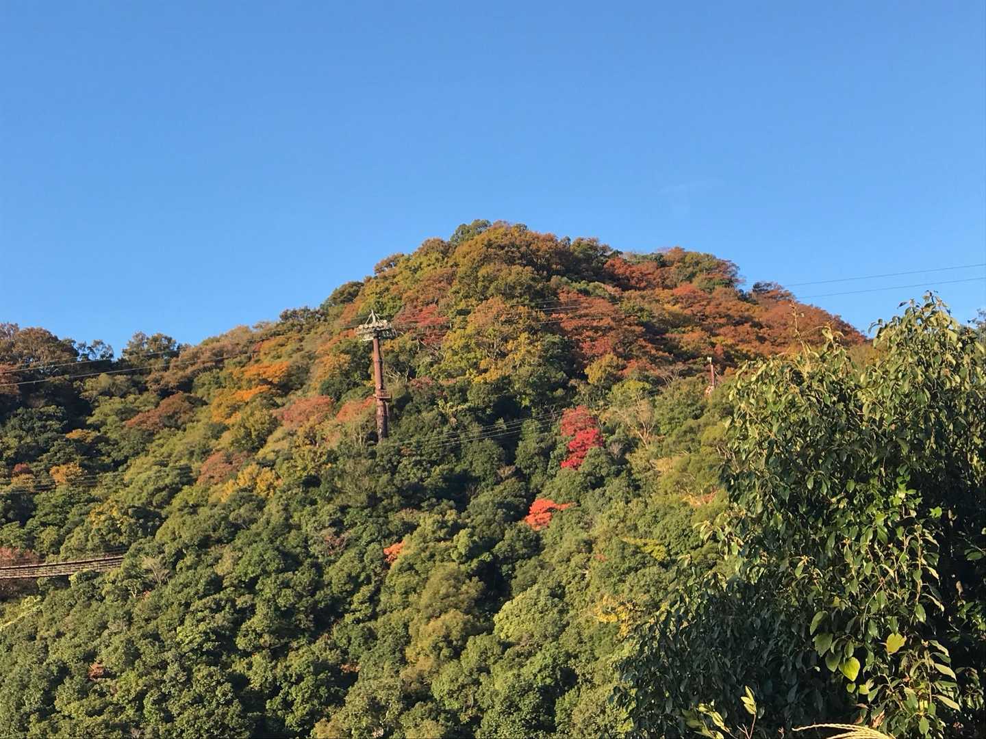 うん、晴れてきた☀️