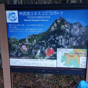 さあ翌日、登山の開始、瑞牆山県営駐車場🅿️をスタートです。