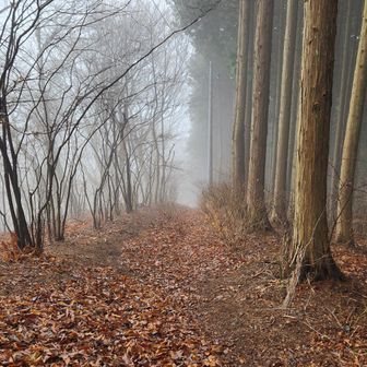 無線できそうにないので、下ります。剣ヶ峰か堂平山が良さそうです。