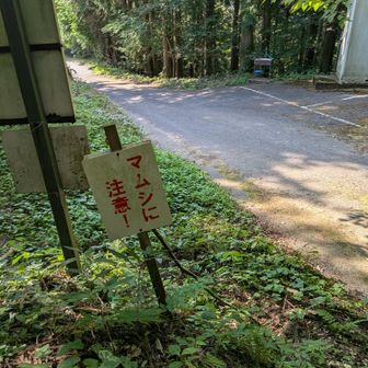 下りてきた
