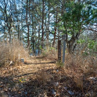 山頂標識撮ってそのまま進んでしまいましたが