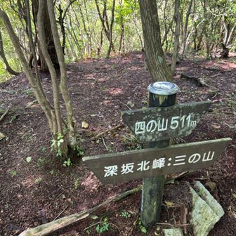 足休め休憩→山頂