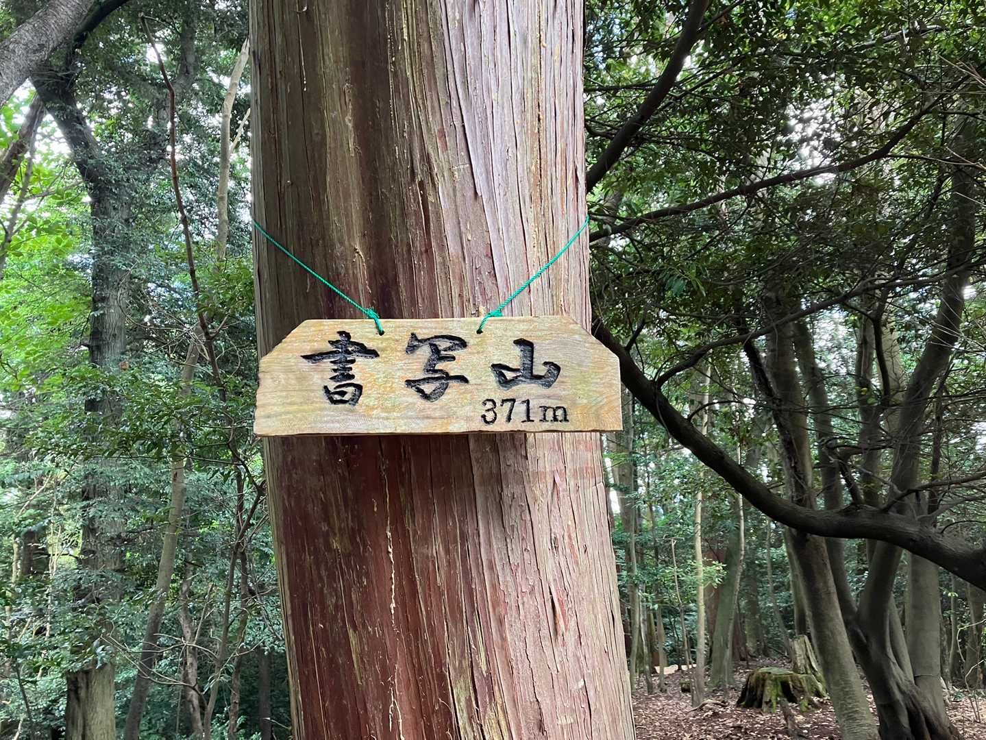 西坂登山口 往復コースの写真