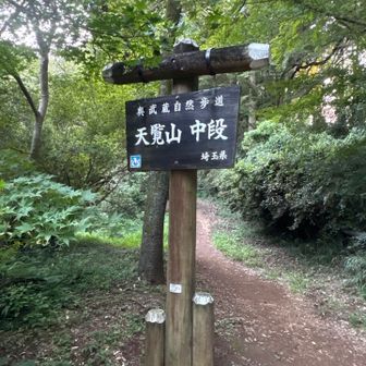 天覧山中段