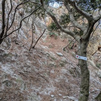 砂山直下です。ここを登り切ると