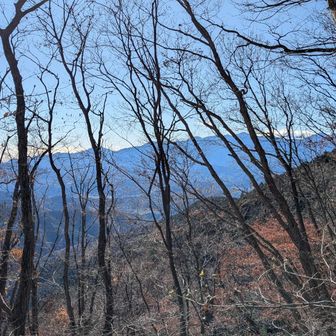 三国山の風景は木立越しなので先の生藤山へと…